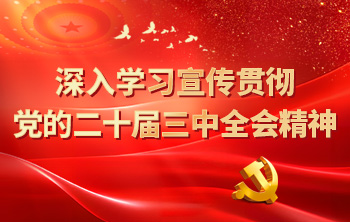 深入學習宣傳貫徹黨的二十屆三中全會精神